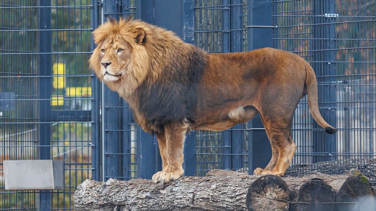 Kas atostogavo, o kas pramogavo