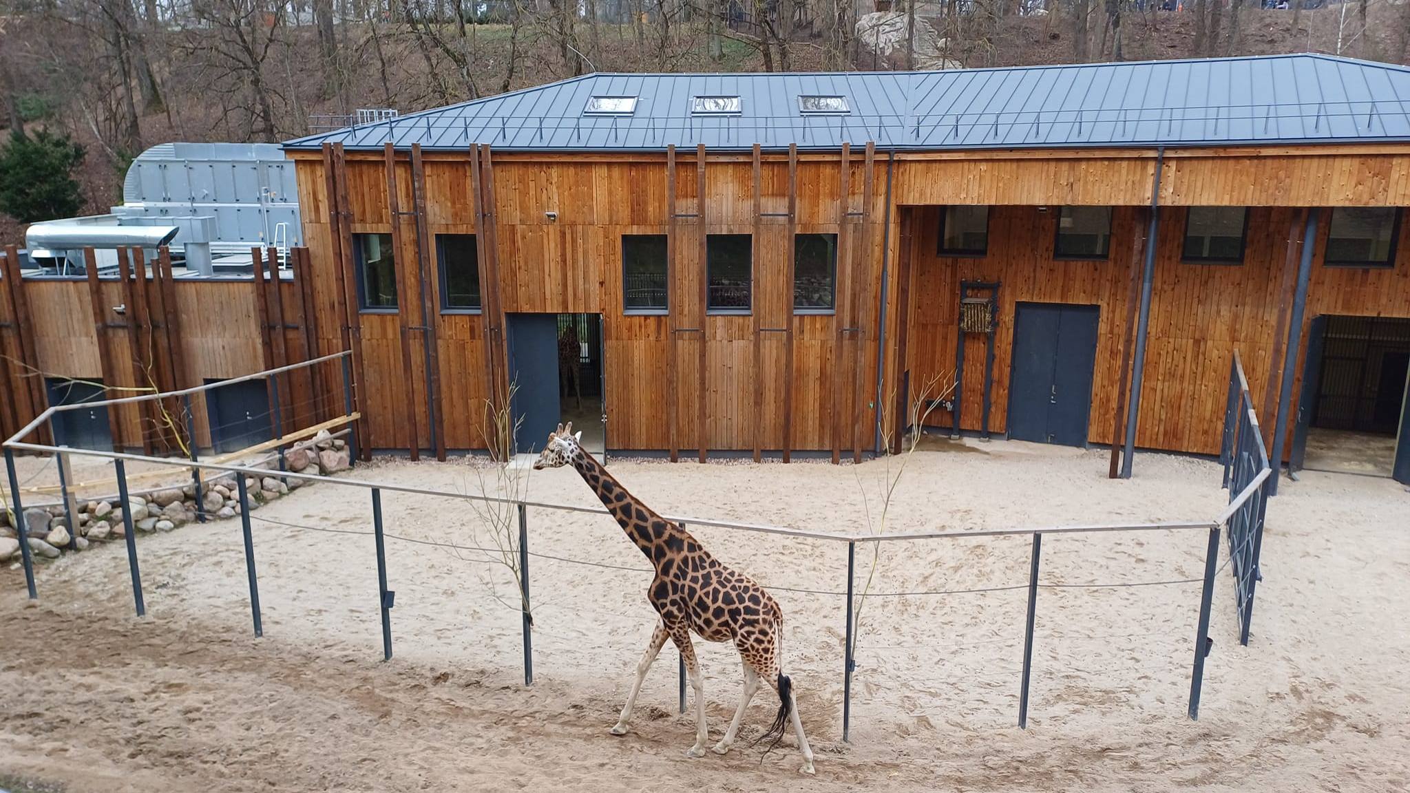 Džiaugėmės galimybe pažvelgti į laukinę gamtą