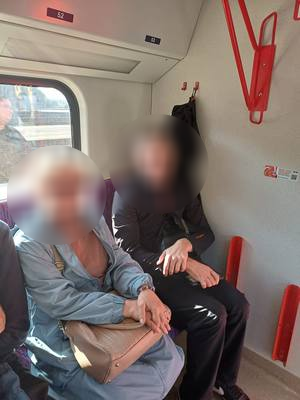 blurred-Danieliu parkas 01.jpg